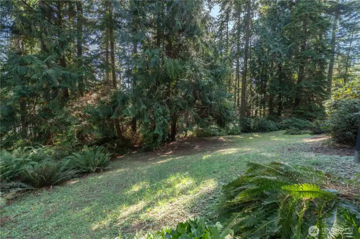 The lot has native firs and cedar trees, ferns, and native huckleberry plants. Adjacent to the lot is a greenbelt for added privacy.