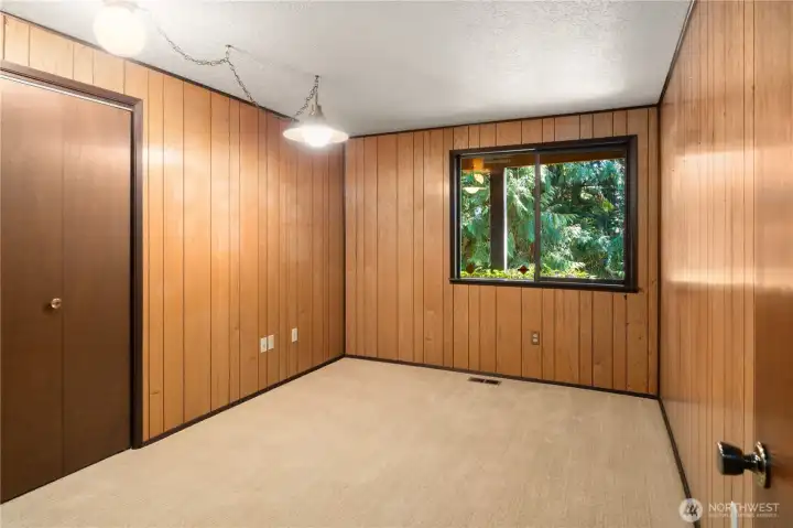 Lower level second guest bedroom.