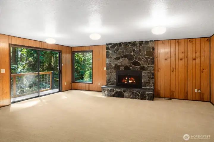 The lower level rec room has a wood fireplace, wood paneled walls and cool retro ceiling lights.