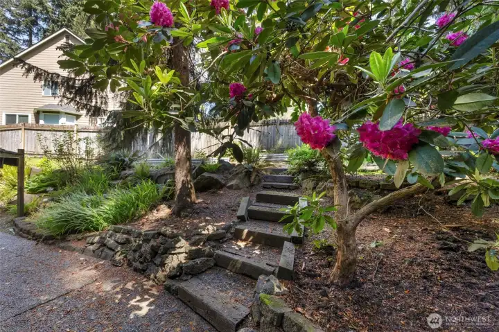 Area near patio with planting spaces.