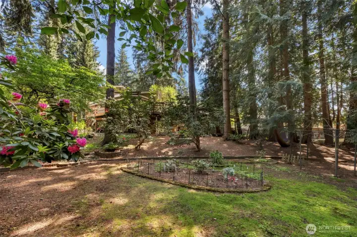 another look at the park like yard