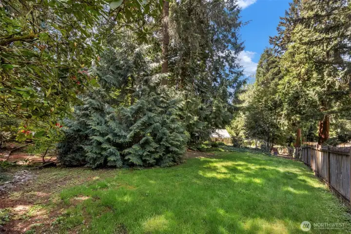 looking west from the patio area.