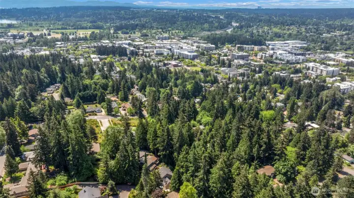 Surrounding area. Redmond, Microsoft, Marymoor park and so much more very close only minutes away.   Great location.