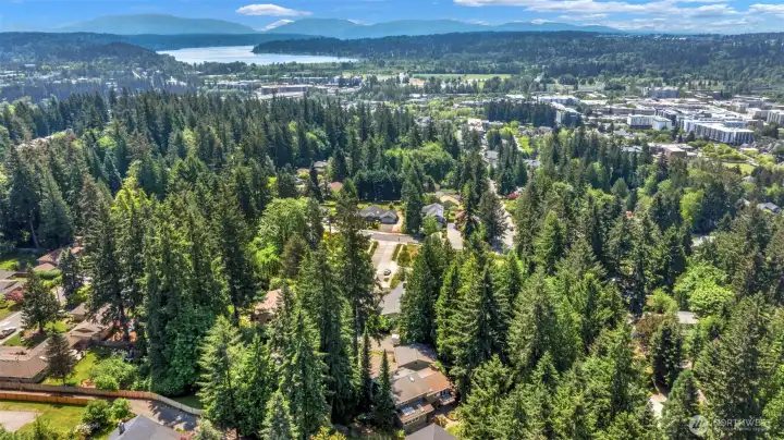 You see the house lower center of photo in the distance is Lake Sammamish and surrounding area.