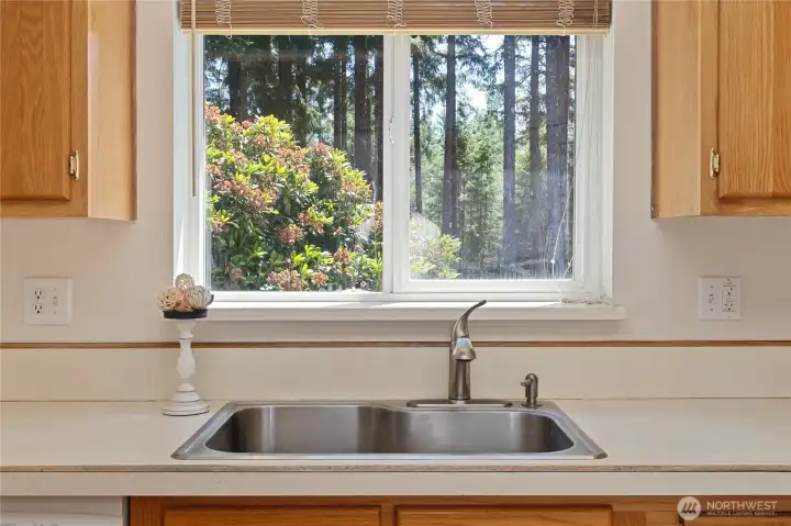 Sink looking to the front of the home.