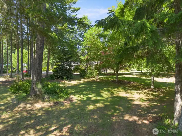 Mature trees that give shade around the property