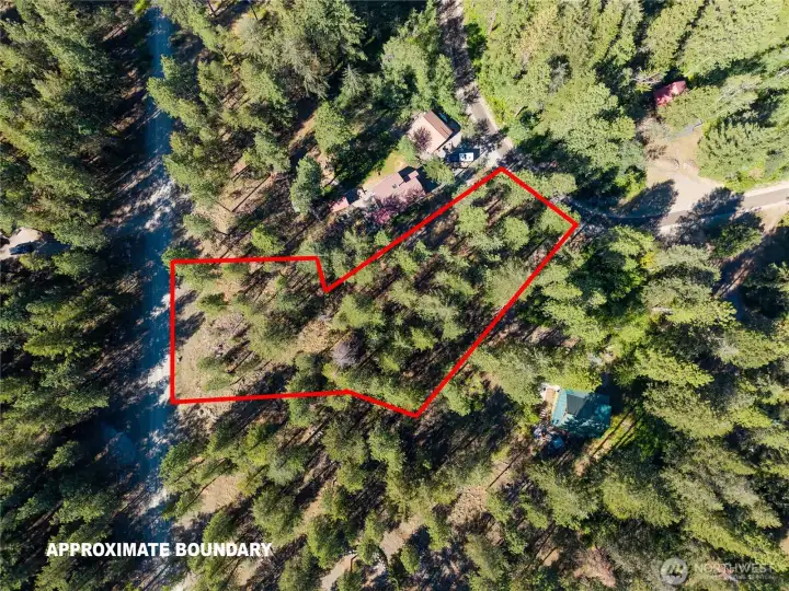 Aerial Aerial