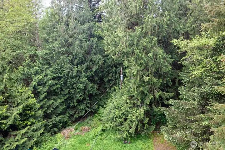 Power pole on lot to the north. Continues underground to the exisitng mobile home. Power pole on lot to the north. Continues underground to the exisitng mobile home.