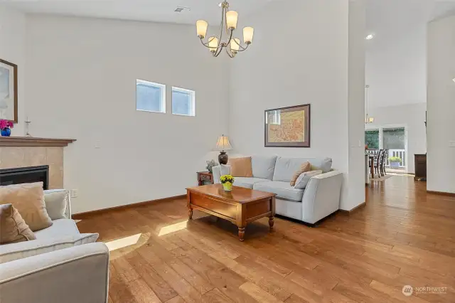 Front door into the living room...Vaulted ceilings. Hall takes you into the kitchen and dining room and bedrooms in the back of the home.