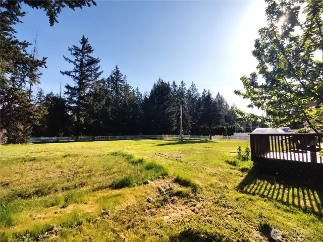 Front yard