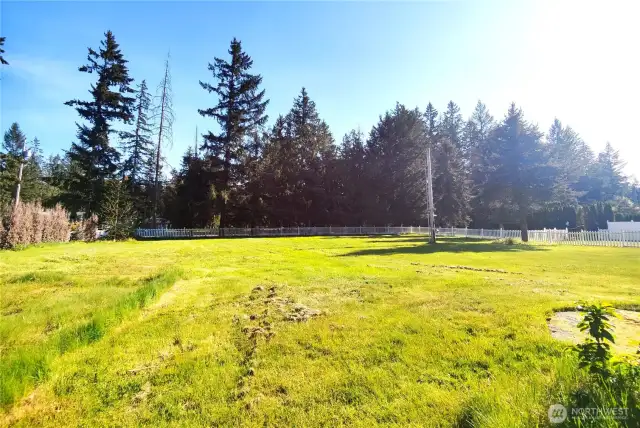 Front yard