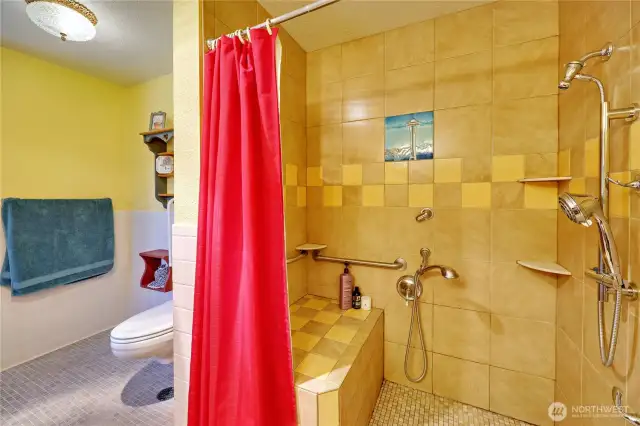 Primary walk in shower