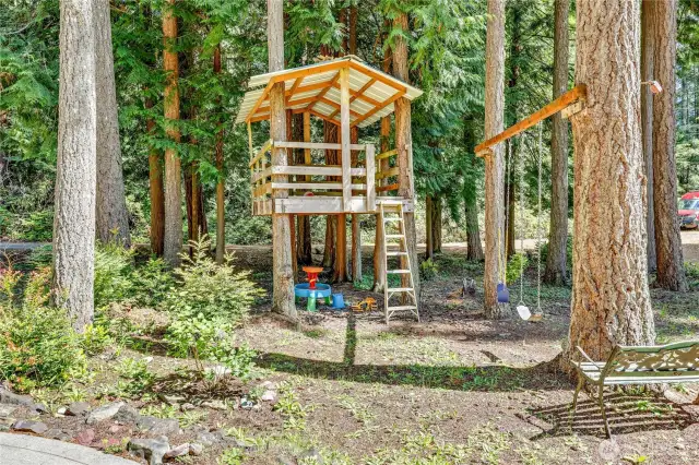 Treehouse and swing