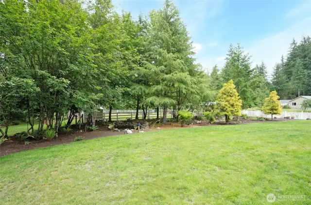 Meticulous Mature Landscape