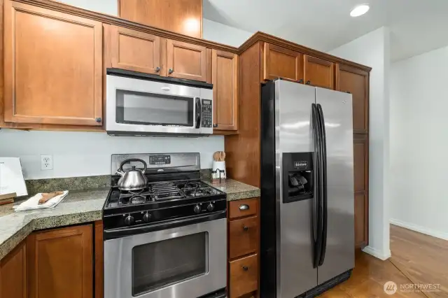 Ample storage throughout the kitchen including pantry space.