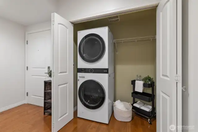 New LG large capacity front-load washer and dryer and storage closet.