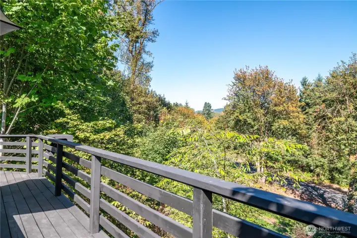Deck View