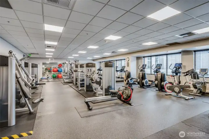 Large Well Equipped Fitness Center
