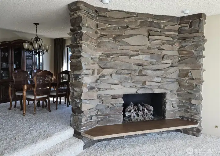 Living Room Fireplace