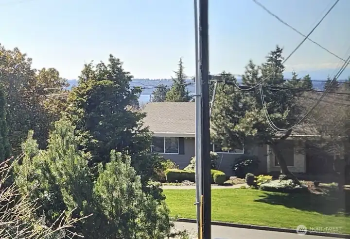 View from the Dining Room