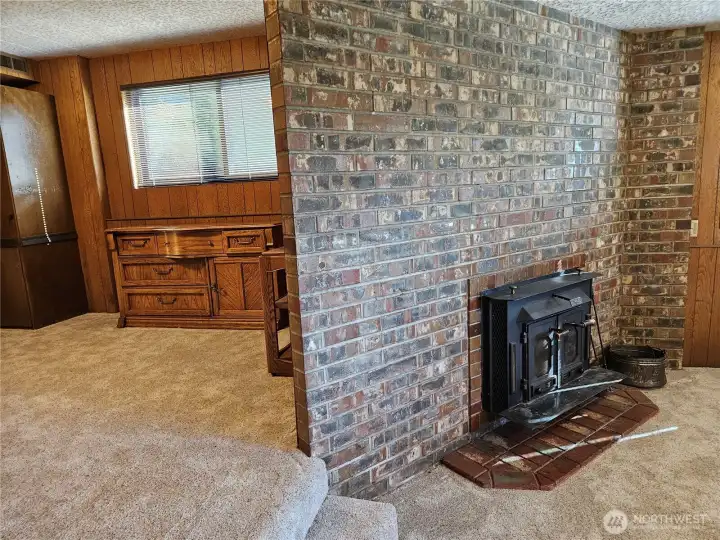 Downstairs Bonus Room and Wood Stove in Sunken Recreation Room