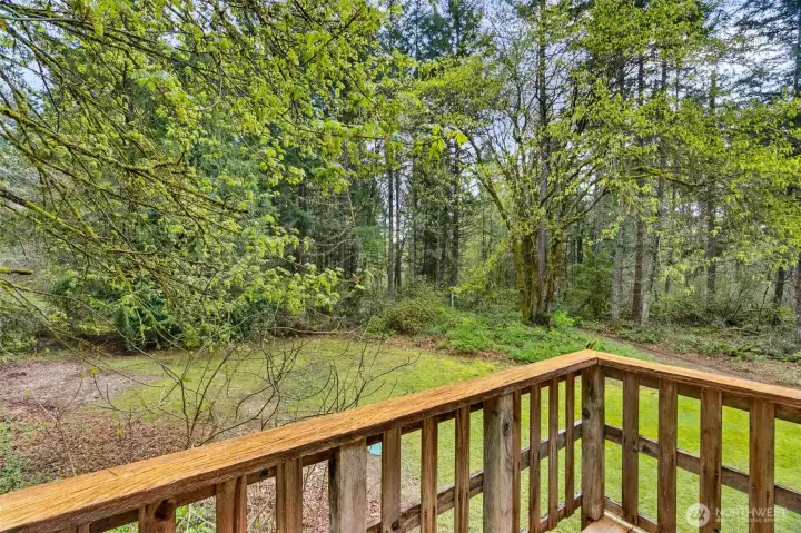 View of driveway from veranda