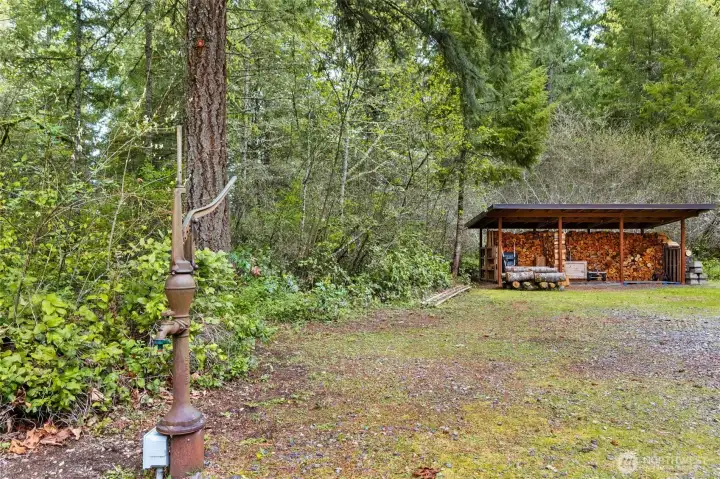 Hand pump for quick use in the garden. A new electric pump and pipes have recently been installed.