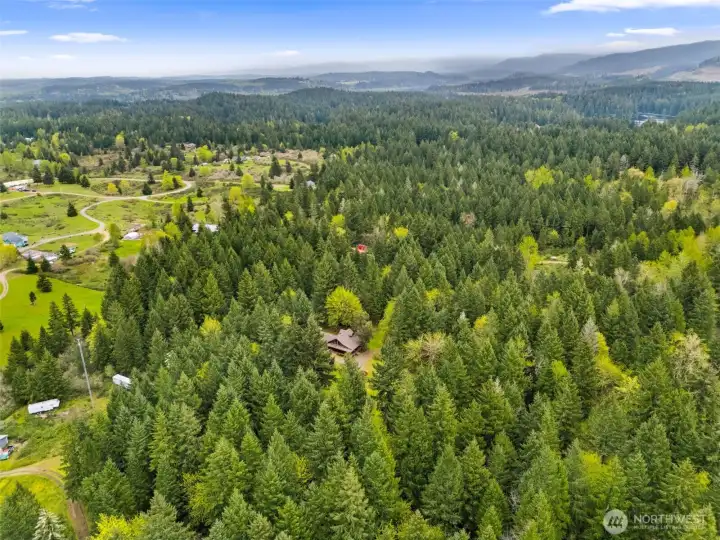 Home in center of the forest with Elbow Lake in the distance on the right corner.