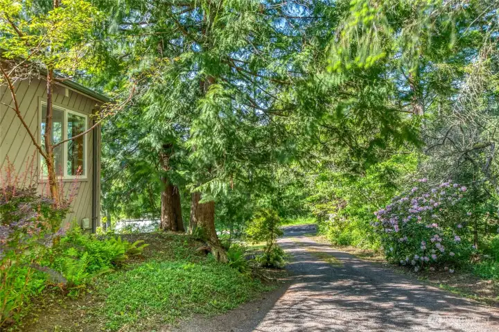 Driveway, from Cayou Valley Road, located on east boundary line.