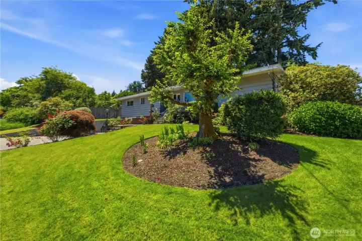 The home is situated on an expansive, beautifully manicured 14,000-square-foot lot with endless potential. The home is situated on an expansive, beautifully manicured 14,000-square-foot lot with endless potential.