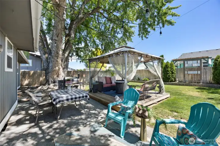 Backyard Backyard