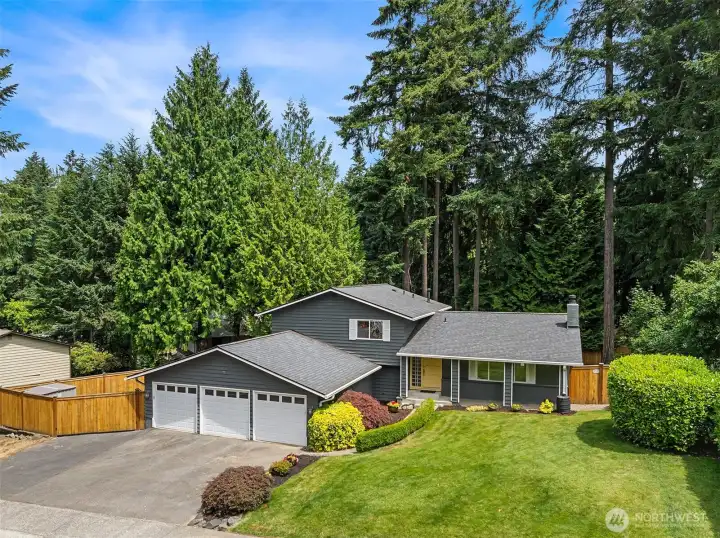 Welcome to North Kirkland's High Woodlands Community.