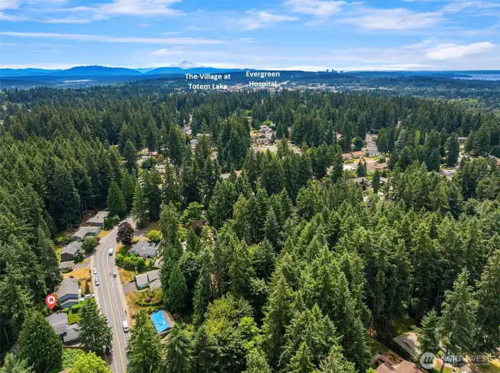 Easy commuter access to I-405, Totem Lake Village, Evergreen Hospital, parks, Woodinville wineries, shopping and dining. Top-tier Northshore schools. An outstanding Eastside locale!