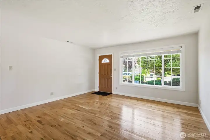 Light Filled Living Room
