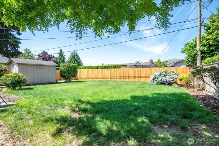 Back Yard & 8x10 Storage Shed