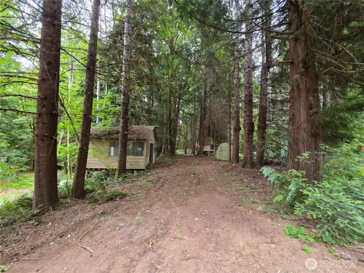 2nd of 3 driveways into property, rustic camping cabin on the left with the tree house and shed visible