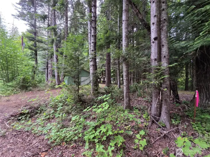 One of the property corners shown here