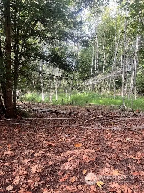 Level and lightly treed.
