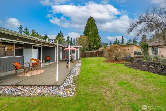 Backyard