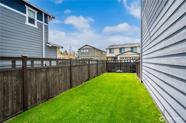 Back Yard