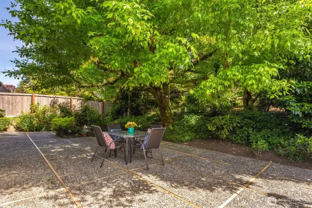 This large patio is shaded by the most gorgeous tree.