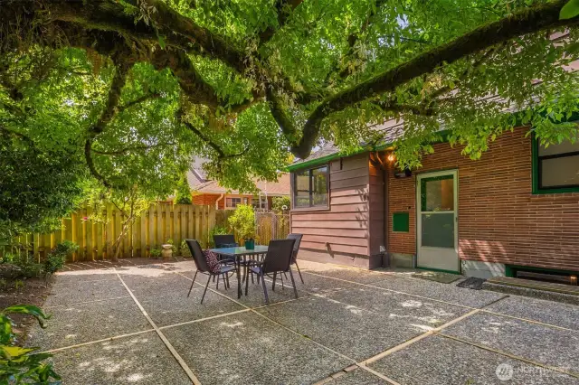 This tree next to the patio providing a lovely shade is beautiful.