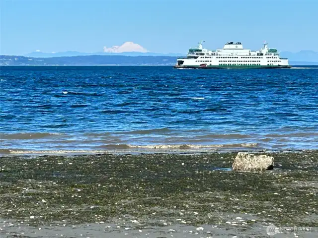 Kingston ferry passing by out front