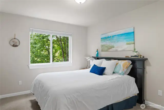 Lower level bedroom.