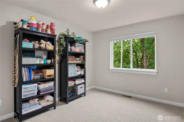 Bedroom on Lower level.