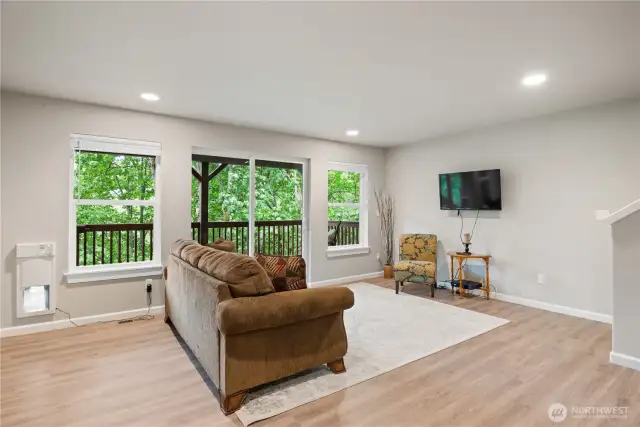 Pet door and slider in Lower level Family Room.