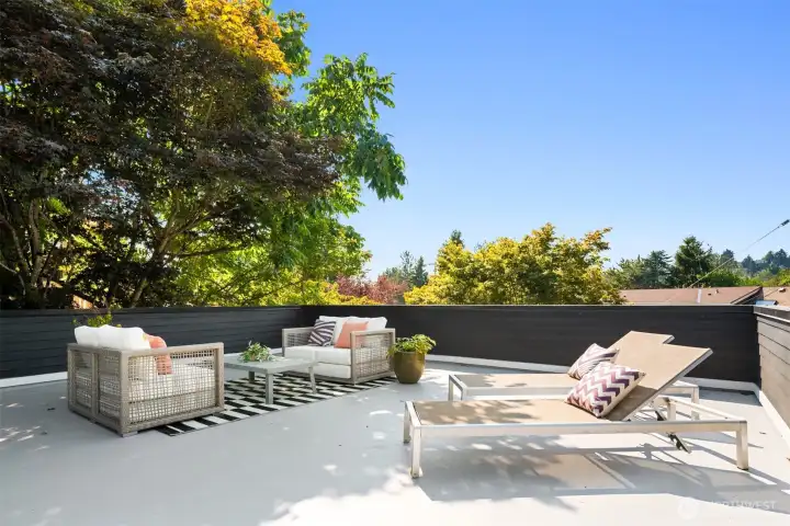 Large rooftop deck space