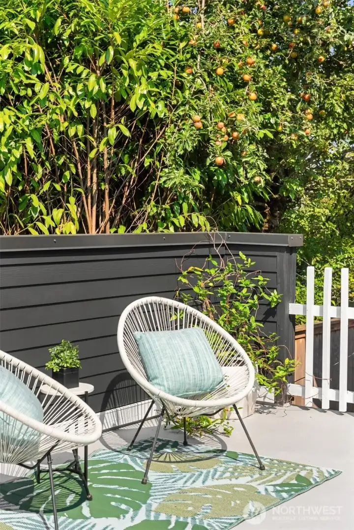 Rooftop deck detail with gate
