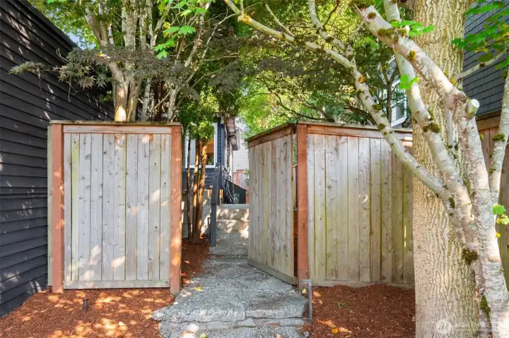 Side-yard fence and gate with garden trees