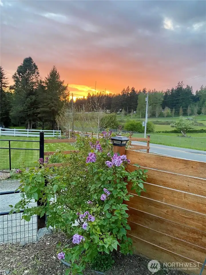 Breathtaking sunsets!